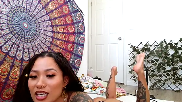 maciixbby stripchat live cam model