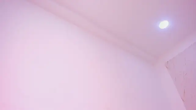 DakkotaFox stripchat live cam model