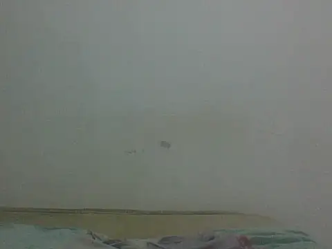 AlbertBigCock stripchat live cam model