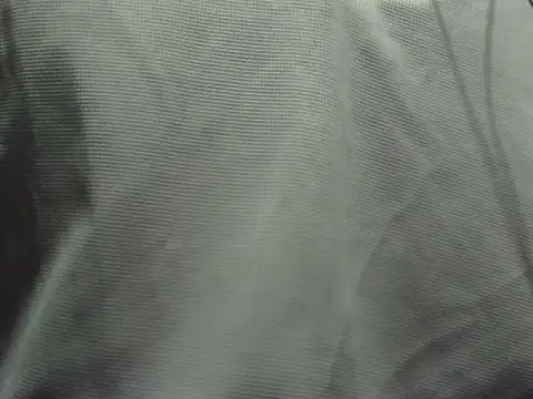 Vireya8256 stripchat live cam model