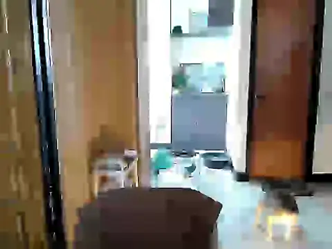 jakoloten stripchat live cam model