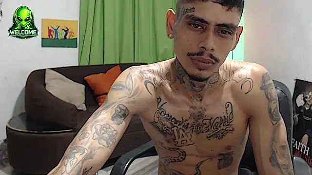 alpha_zom stripchat live cam model