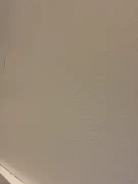 nat6ix@xh stripchat live cam model