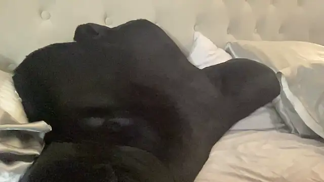 Mymyymyyy stripchat live cam model