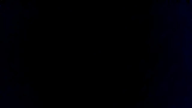 shag369 stripchat live cam model
