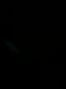 Z20011 stripchat live cam model