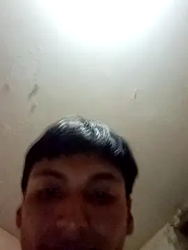 bxbicho20 stripchat live cam model