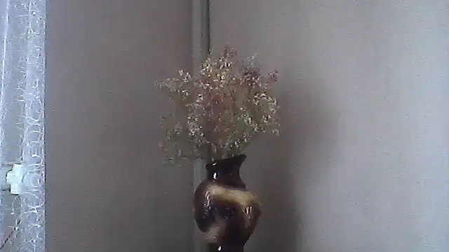 Littlecatme stripchat live cam model