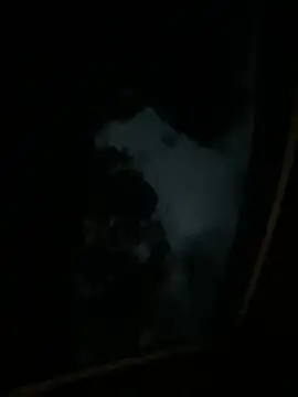 Uber-driver-dam stripchat live cam model