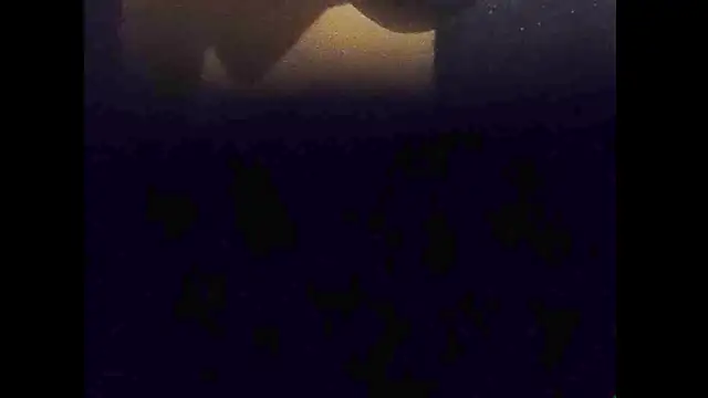 hairyuncut00 stripchat live cam model