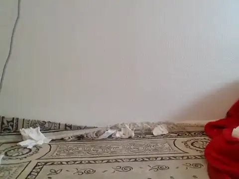 ton-zizi stripchat live cam model