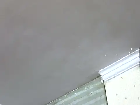 Sexy-radhika69 stripchat live cam model