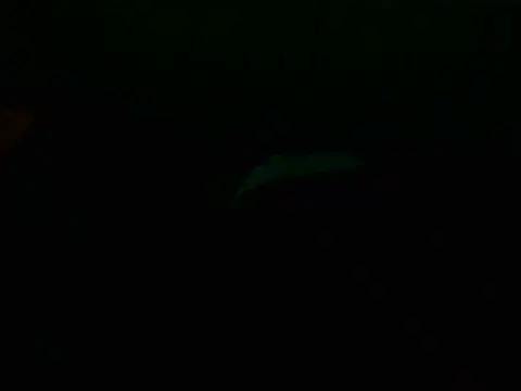 sumeyhia stripchat live cam model
