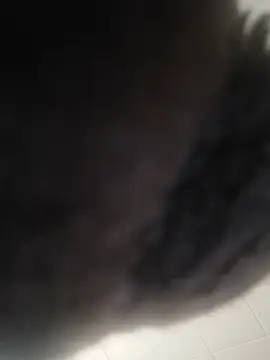 19JaSon83 stripchat live cam model