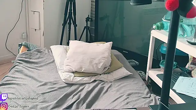 CeriseLapine stripchat live cam model