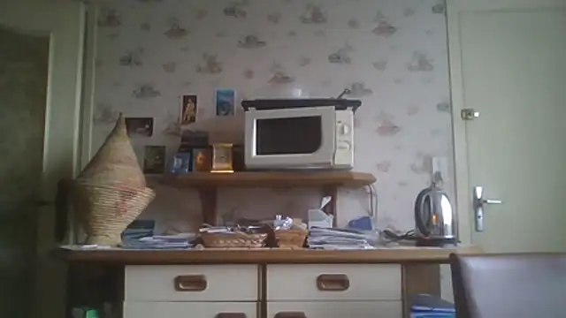 gegevincent5 stripchat live cam model