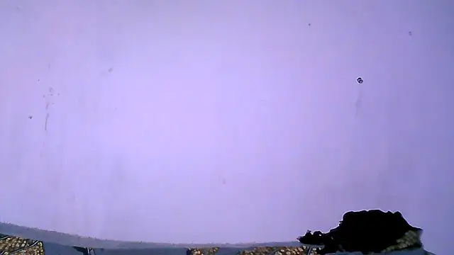 CherryPumPum stripchat live cam model