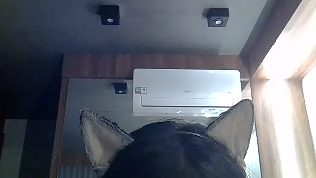 SkinnyKitten stripchat live cam model