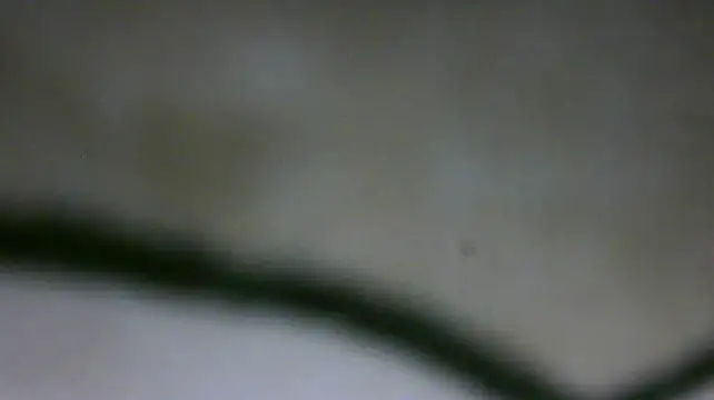 MidnightFlirtX stripchat live cam model