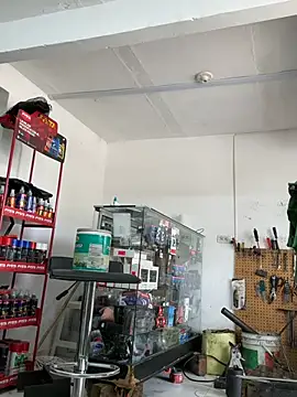 Paul22cm- stripchat live cam model