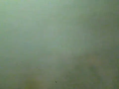 Foxboy65 stripchat live cam model
