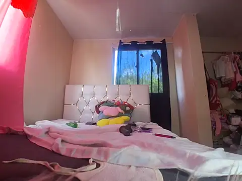 JawedNorth stripchat live cam model