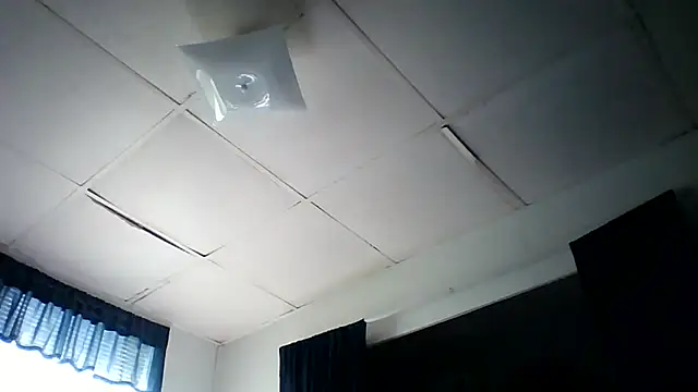 starlight1983 stripchat live cam model
