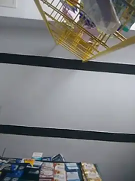 D1ogh0 stripchat live cam model