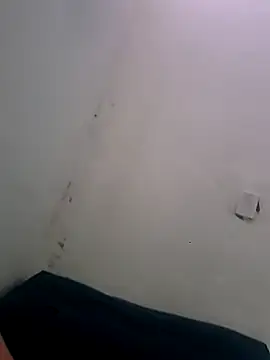 casaldasul stripchat live cam model