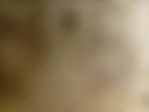 Casaldoidao stripchat live cam model