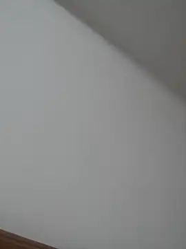 arya_john stripchat live cam model