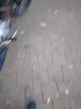 MrStreetGuy stripchat live cam model