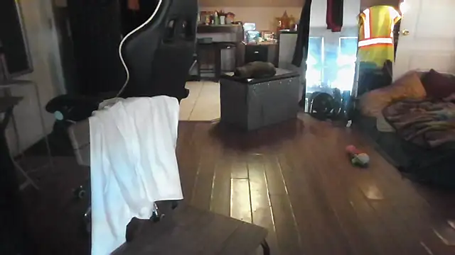 bigshh8 stripchat live cam model