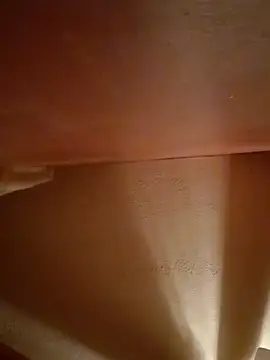 JemJensen30 stripchat live cam model