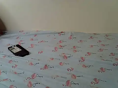 lolizeb stripchat live cam model