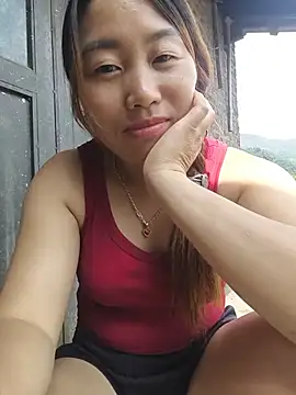 he-se-kin stripchat live cam model