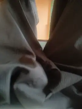raju83737 stripchat live cam model