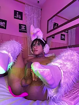 Liam_evvan stripchat live cam model