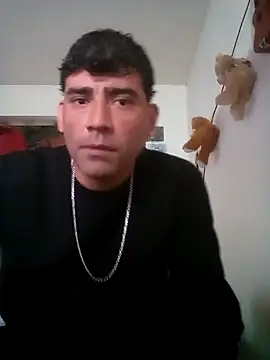 wa379 stripchat live cam model
