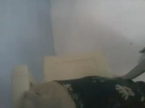 verg01 stripchat live cam model