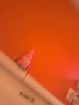 swingr stripchat live cam model