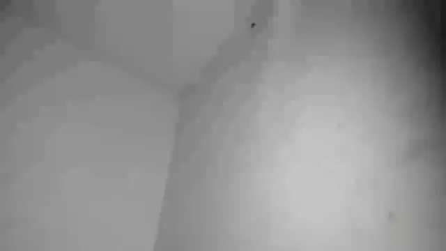 calliedemon_ stripchat live cam model