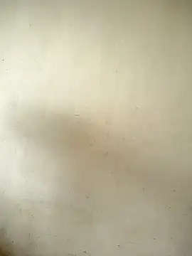 Pune_marathi_boy_ stripchat live cam model
