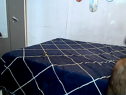 hotbuddies stripchat live cam model