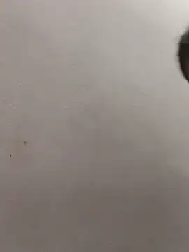 Crazy_Radhika stripchat live cam model