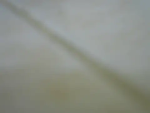 Sweetcaro_ stripchat live cam model