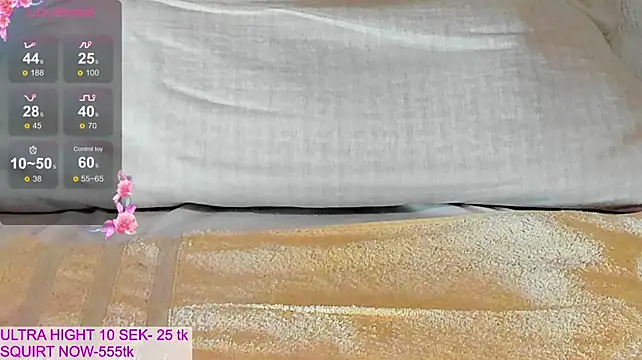 kitty69grey stripchat live cam model