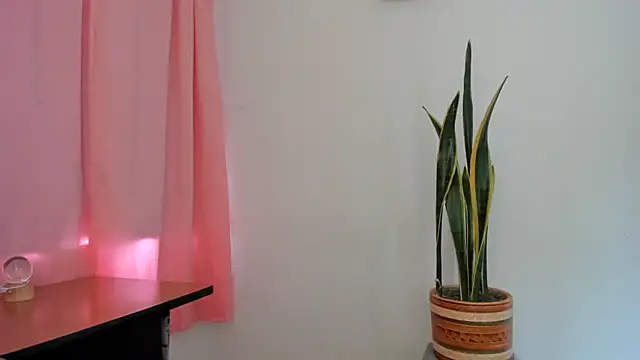 paula_miler1 stripchat live cam model