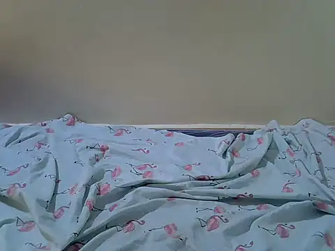 lolizeb stripchat live cam model