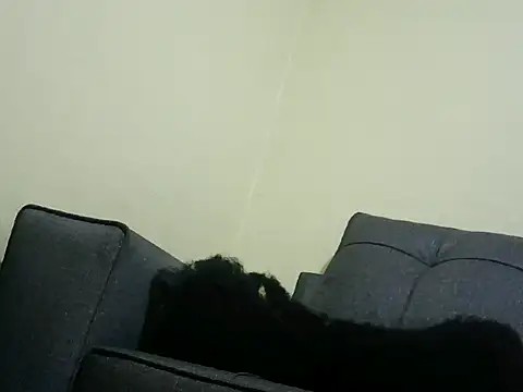 naughty_renny stripchat live cam model